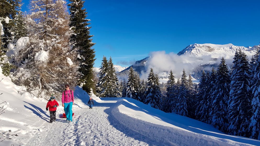 Familie mit Schlitten, Winterwanderweg, Chur-Brambrüesch