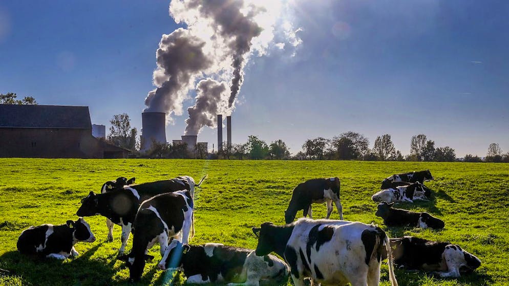 I livelli di emissioni di CO2 sono già quasi tornati quelli del 2019.