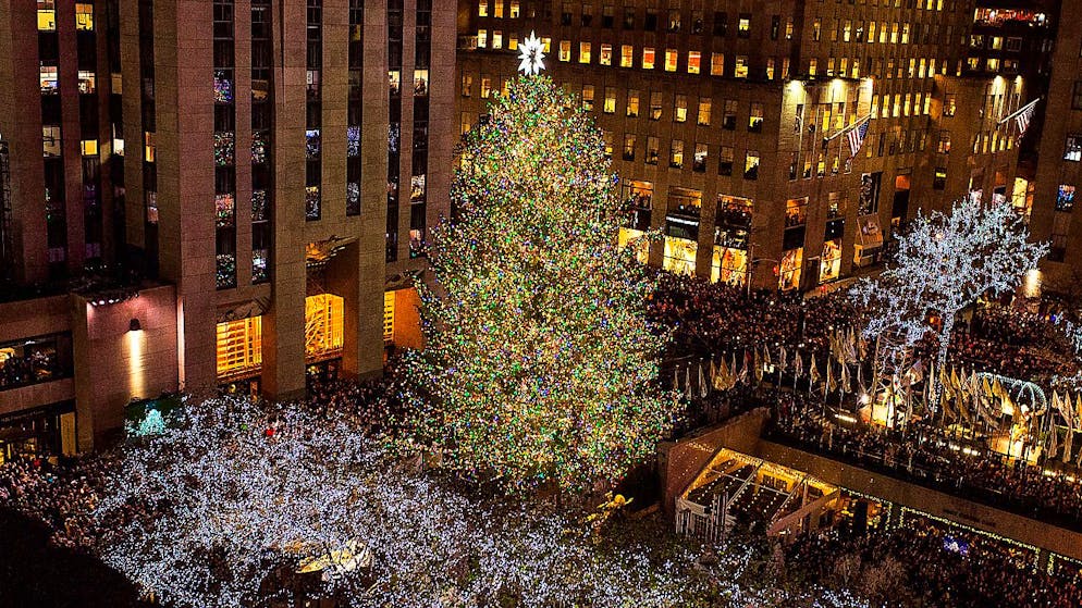È stato scelto l'albero che illuminerà il Rockfeller Center per le festività natalizie. Immagine d'archivio.