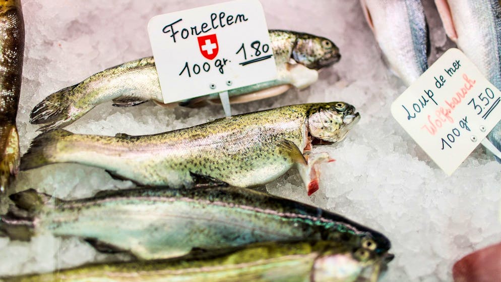 MSC und nicht MSC fisch von verschiedene Länder auf Eis, in ein wagen auf der helvetia platz markt in Zuerich(KEYSTONE/Gaetan Bally)