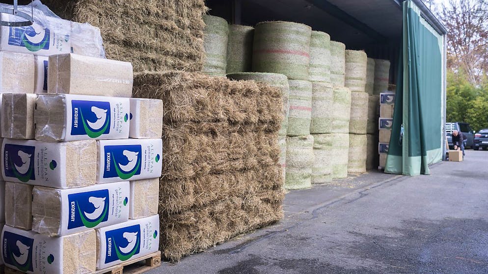 Allo Zoo di Zurigo sono distribuite e lavorate 500 tonnellate di mangime all'anno