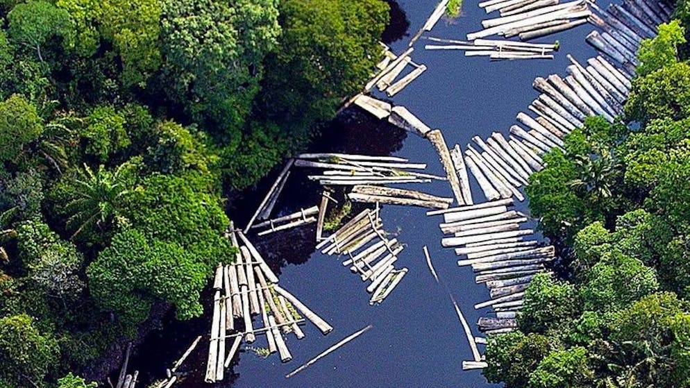 An aerial view of a tributary of the Amazon river showing dozens of logs floating, Tuesday, 04 November 2003 after illegal deforestation of the Brazilian Amazonic region, considered the biggest natural lung of the planet. The illegal deforestation by the local peasants is considered one of the main enemies of the ecosystem. (KEYSTONE/EPA/MARCELO SAYAO)
