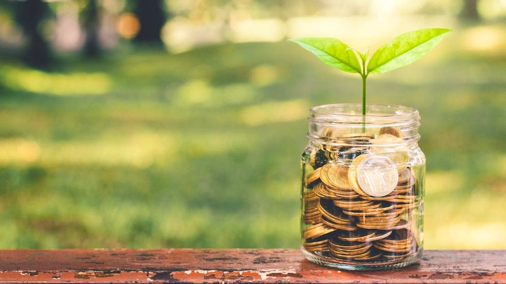 Wer Geld anlegt, will immer öfter in nachhaltige Unternehmen investieren.