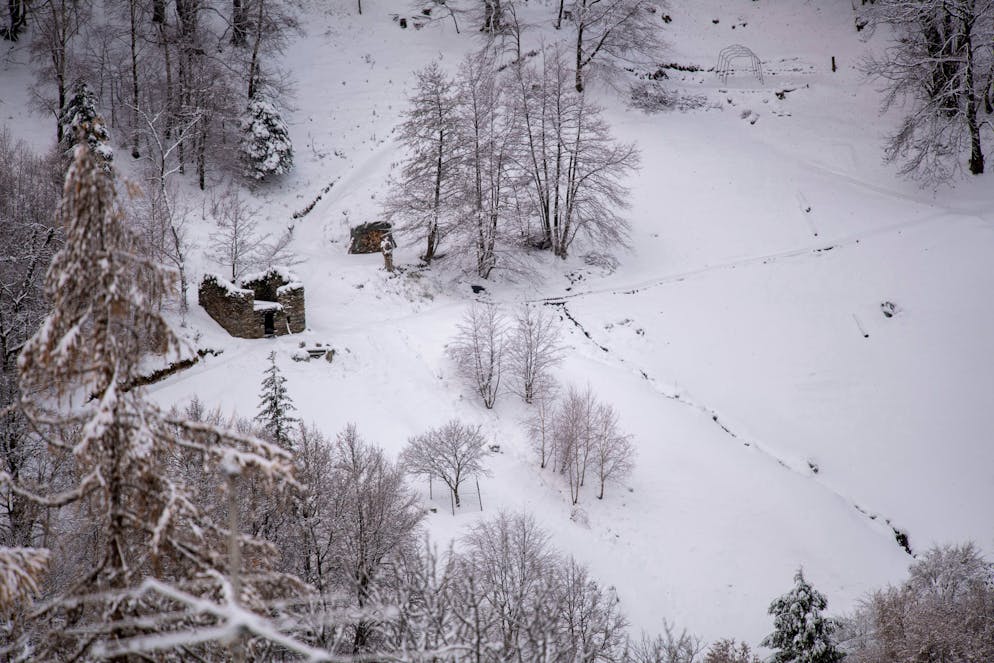 Val Colla: neve a bassa quota, sotto i 1000 slm. Nella foto una veduta di dettaglio della prima neve caduta durante la notte.
© Ti-Press / Pablo Gianinazzi