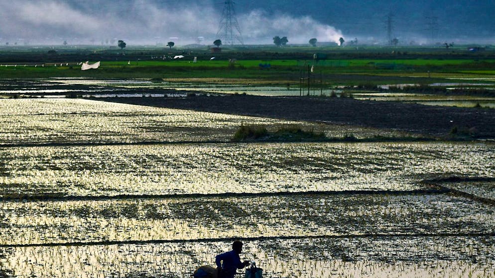 Il denaro deve rendere, ma possibilmente senza rovinare l'ambiente.