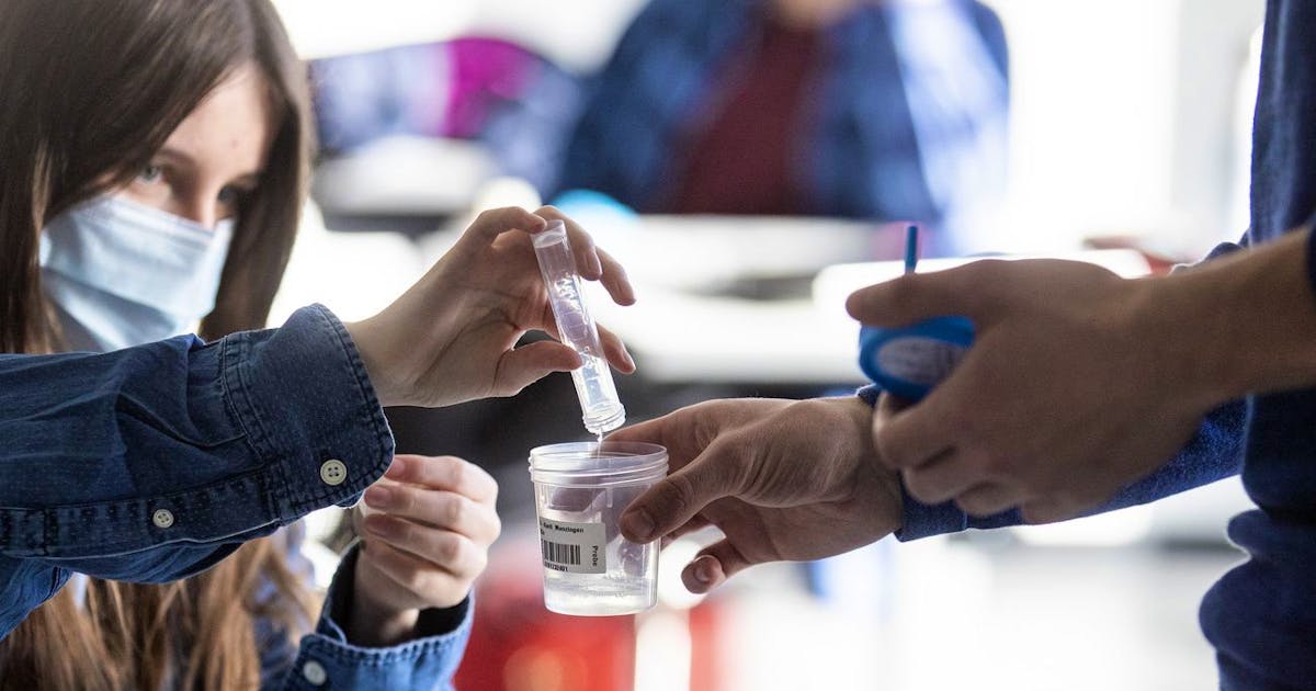 Scholz compulsory vaccine tightens the action of +++ cantons Scholz compulsory vaccine tightens the action of +++ cantons