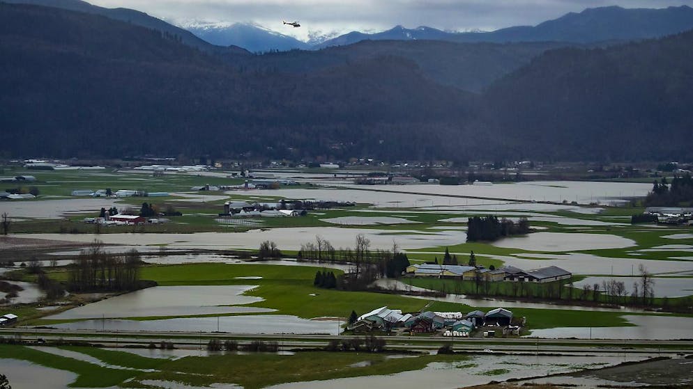 È caldo record nella Columbia britannica, la provincia più occidentale del Canada: questa settimana la colonnina di mercurio ha fatto registrare un massimo invernale di 22,5 gradi Celsius, eguagliando il precedente record nazionale del 1982.