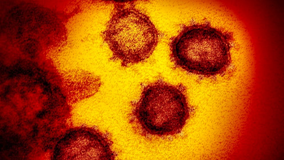 Le variant Omicron du SARS-CoV-2 correspond à 3,6% des variants du coronavirus séquencés ou examinés dans les laboratoires ces sept derniers jours