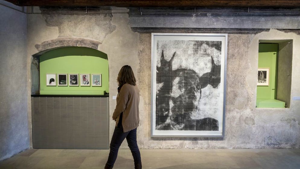 Au château de Nyon, les photographies et œuvres sur papier de 24 artistes vaudois de la collection d'art de la BCV offrent un point de vue sélectif et diversifié de la scène artistique vaudoise contemporaine. Elles sont exposées sur les murs intérieurs du château, écrins à la fois bruts et précieux.