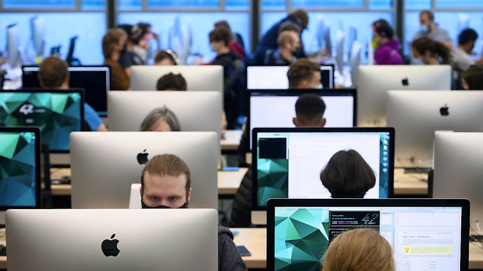 L'informatica è uno dei settori che traina la crescita.