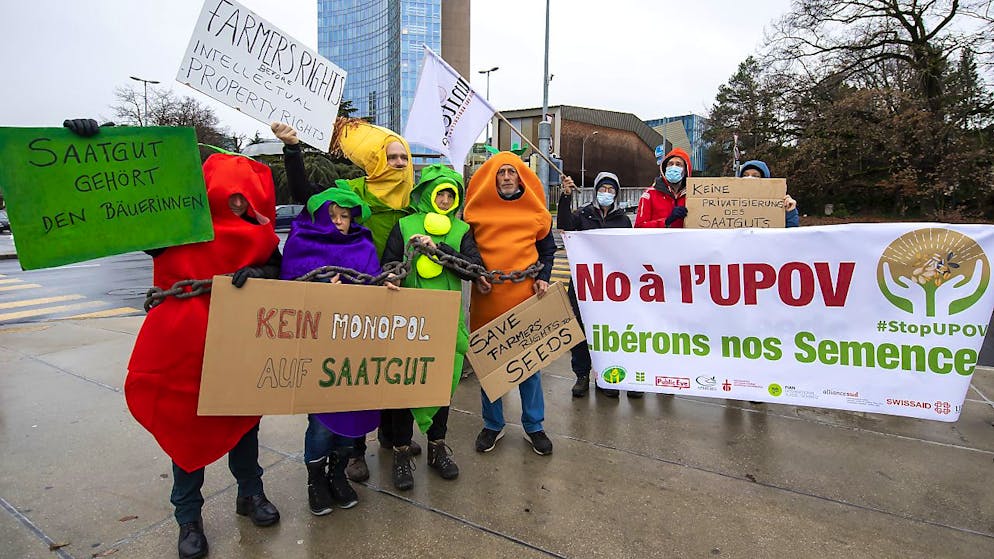 L'appel des ONG suisses à Genève pour améliorer l'utilisation des semences par les agriculteurs du sud a été soutenu par des centaines d'organisations de différents pays.
