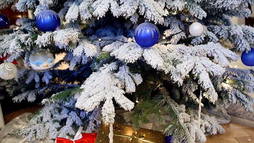 Sotto l'albero ci saranno parecchi franchetti.