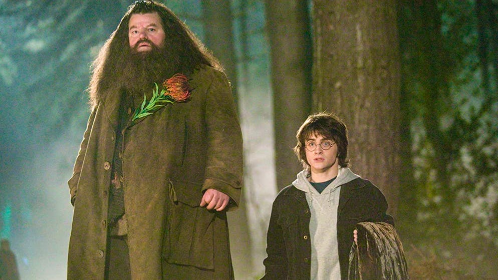 «Harry Potter und die Rückkehr nach Hogwarts»: 20 Jahre Jubiläum. Ein Wiedersehen, das alle Fans freuen dürfte: Robbie Coltrane, also Hagrid, wird ebenfalls dabei sein.