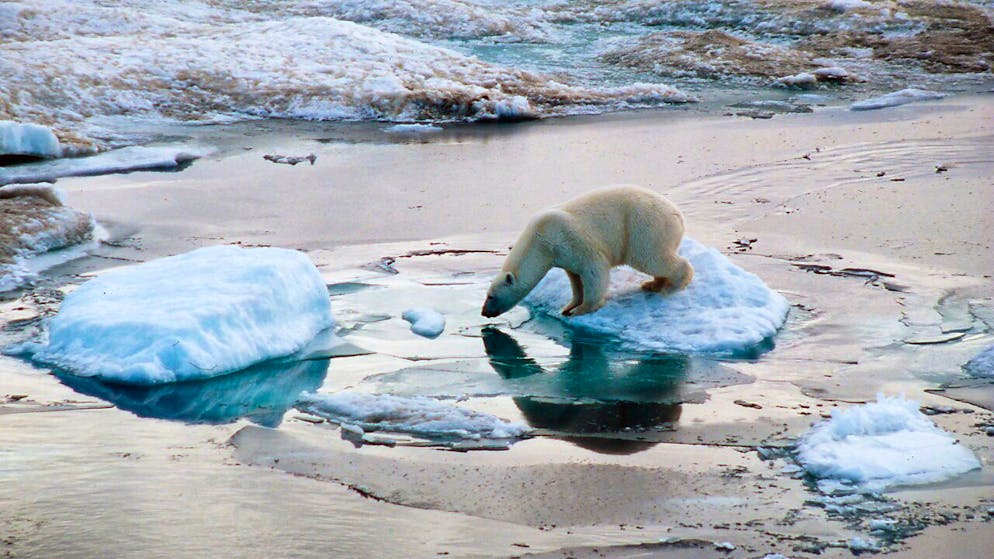 Nuovo record di caldo in Artide