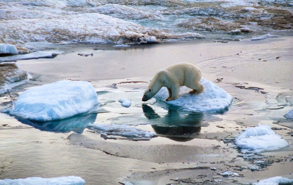 L'Arctique est l'une des régions où les températures grimpent le plus vite. (photo d'illustration).