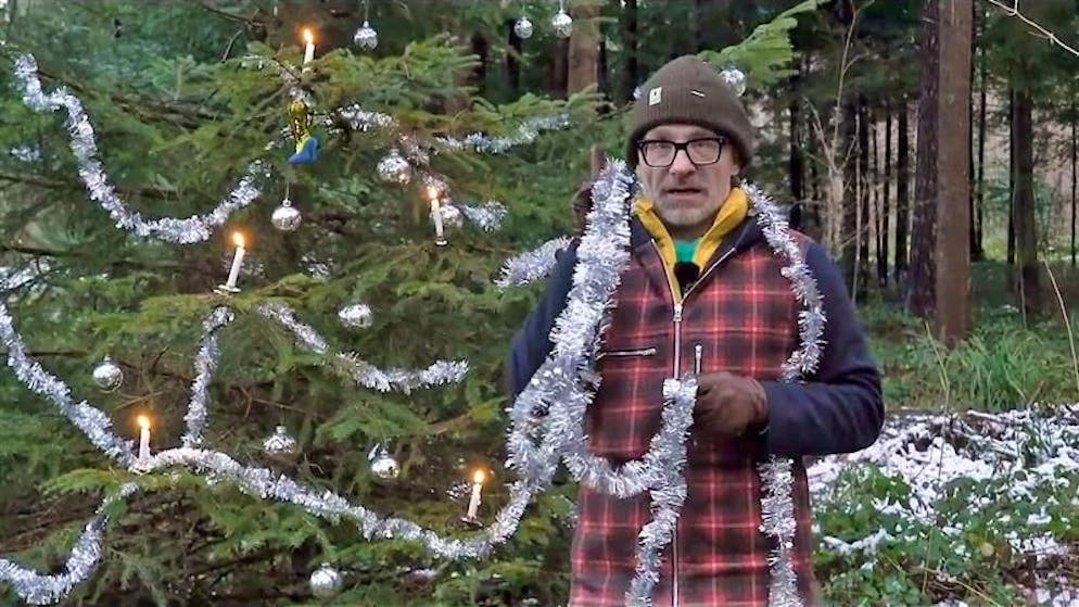 Bötschi testet. An diesem Christbaum hätte sogar Alain Berset Freude