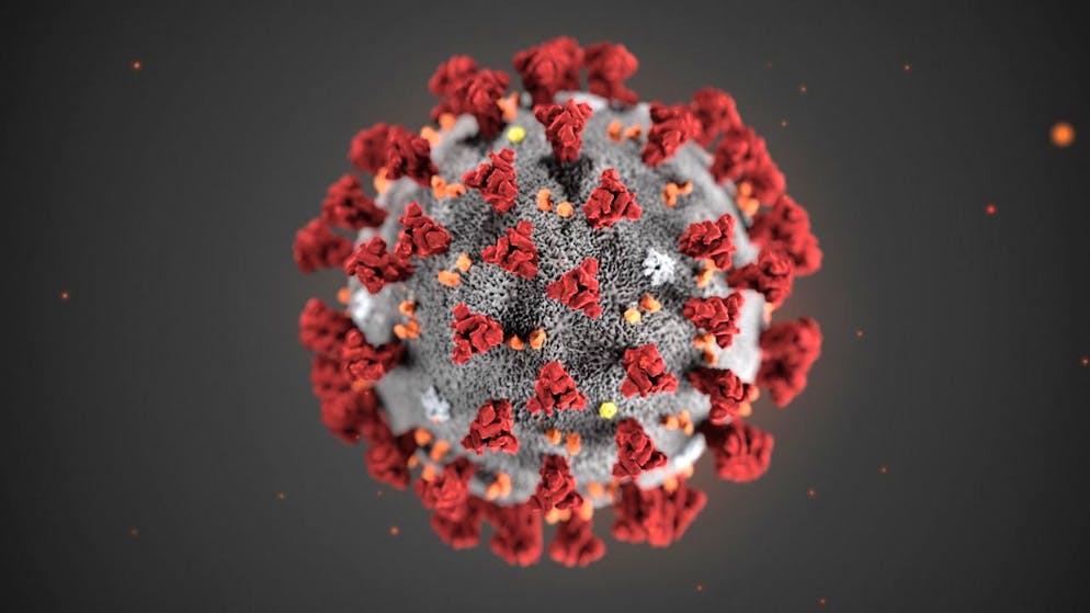 In Ticino, nelle ultime 24 ore, si sono registrate 271 nuove infezioni da coronavirus che portano il totale dall'inizio della pandemia a 38'423. Nel cantone è stato registrato un nuovo decesso, per un totale di 1029 morti associate al Covid-19.