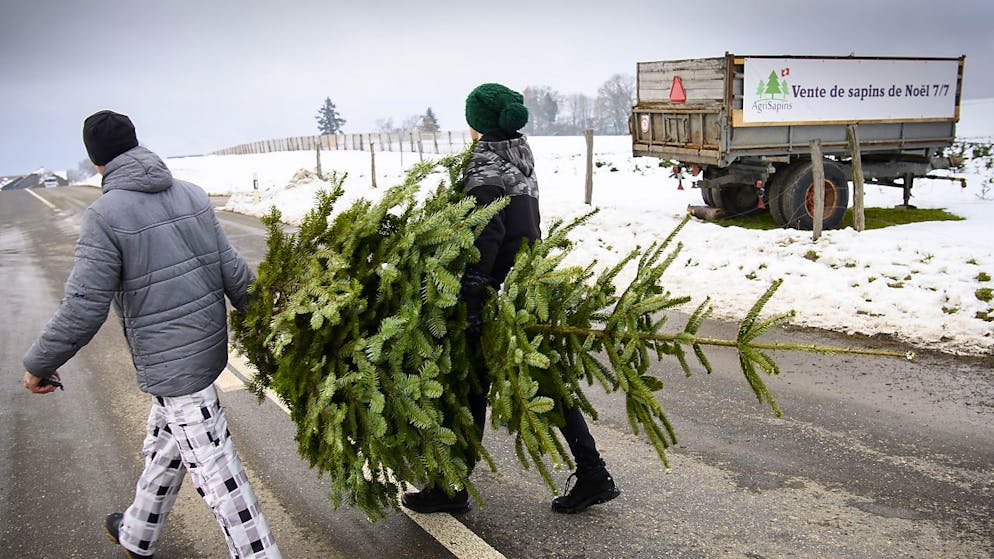 L'acquisto dell'albero inaugura per molti il periodo di Natale.