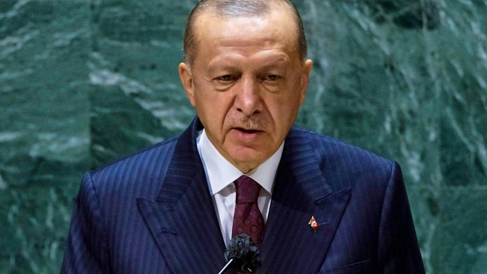 Erdogan guarda all'Africa.