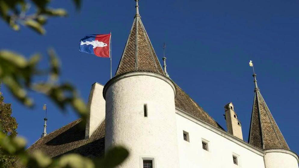 Les membres de la Municipalité de Nyon demandent au Conseil d'Etat vaudois de suspendre leur collègue Elise Buckle (photo d'illustration).