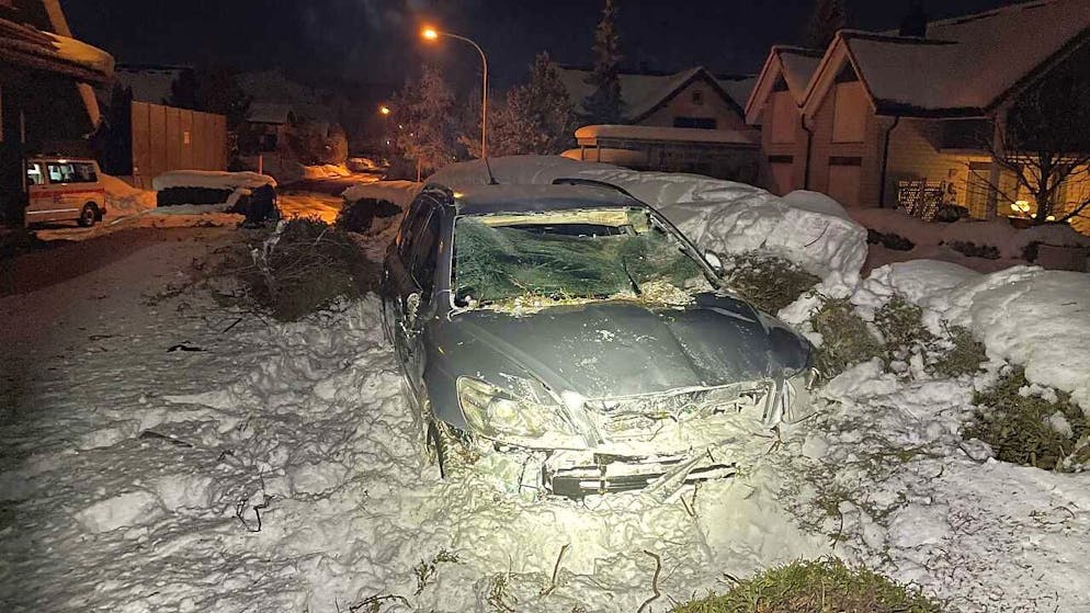 L'auto finita in un giardino: alla guida un 16enne ubriaco.