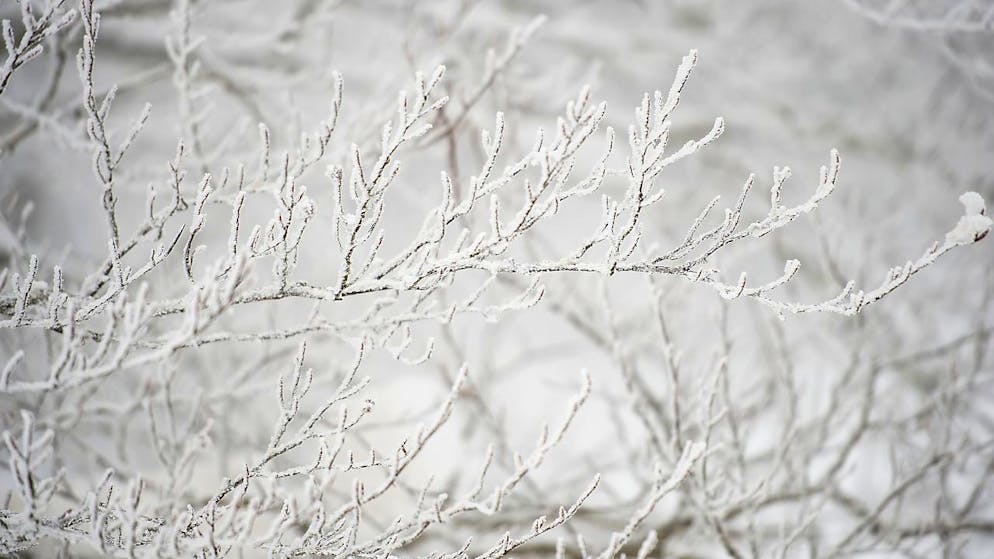 Temperature glaciali in diverse località svizzere