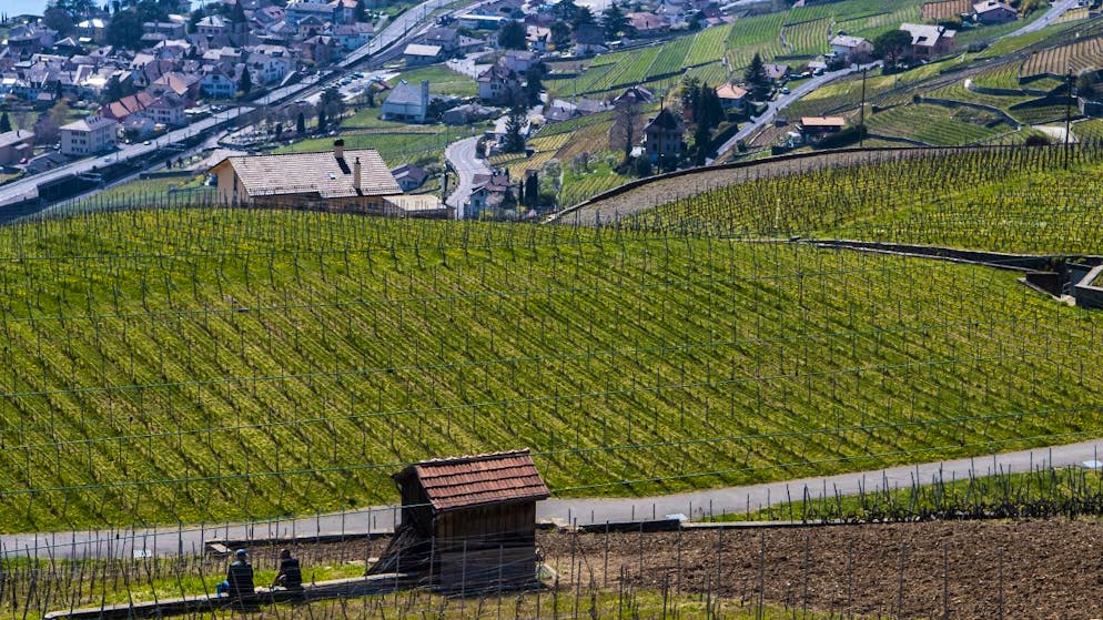 Le Conseil d'Etat veut réviser la loi sur le plan de protection de Lavaux (LLavaux) en y introduisant une obligation de récusation pour les députés propriétaires de parcelles ayant formulé une opposition (archives).