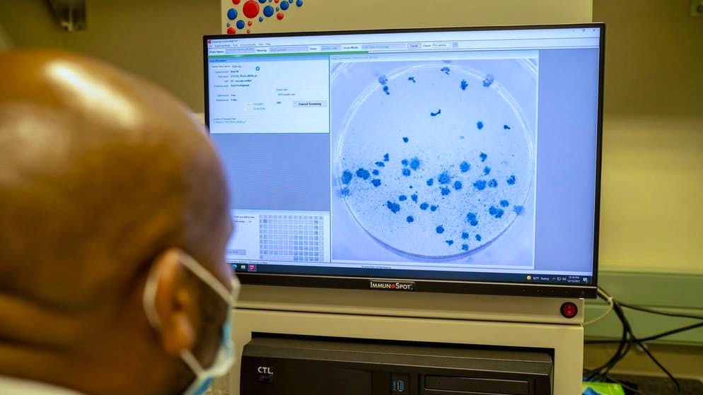 Un ricercatore dell'Africa Health Research Institute di Durban, Sudafrica, sta lavorando sulla variante Omicron del Covid.