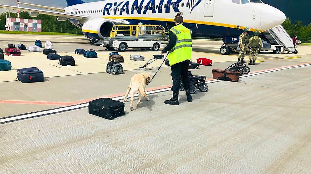 Observant un ralentissement "soudain" des réservations, Ryanair, la plus grande compagnie aérienne européenne par nombre de passagers, a prévenu que sa perte annuelle serait sans doute le double de ce qu'elle attendait, en raison de l'impact du nouveau variant plus contagieux (archives).