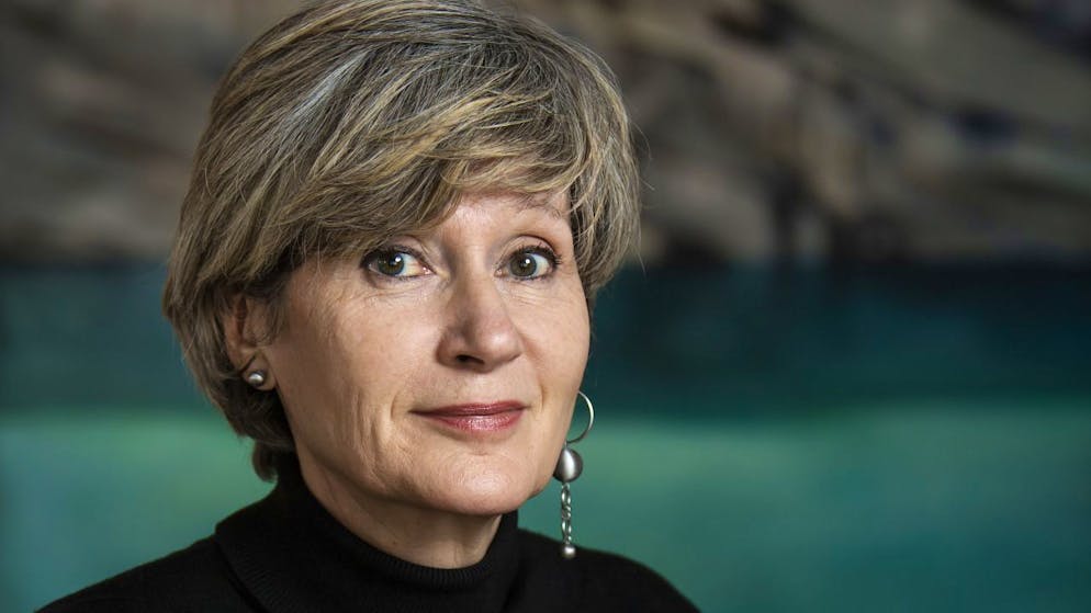 L'artiste Sylvie Moreillon vient de publier un petit opus visant à combattre la morosité ambiante "Les insolent-es de Colombine".