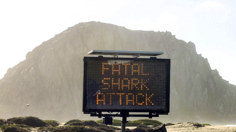 Un attacco letale di uno squalo si è registrato nella località di Morro Bay, in California.