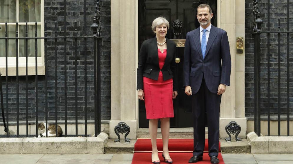 Briten feiern zehn Jahre Chef-Mausefänger Larry. Cameron ging, Larry blieb. Der Kater zeigt sich alledings unbeeindruckt von den Gästen seines Hauses, ob Premierministerin Theresa May oder Spaniens König Felipe VI.