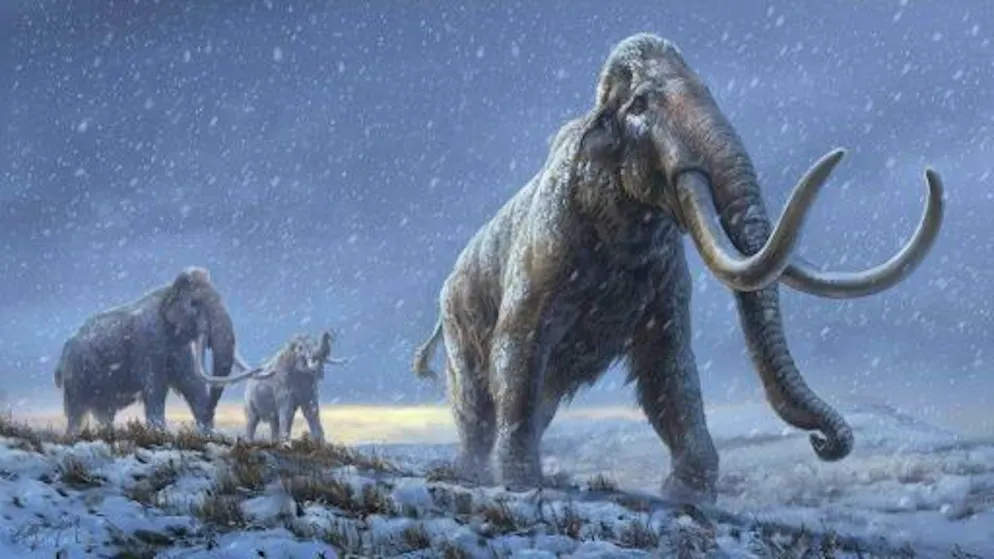 Des mammouths de steppes, qui ont précédé les mammouths laineux. Oeuvre fournie par la revue Nature, le 17 février 2021.