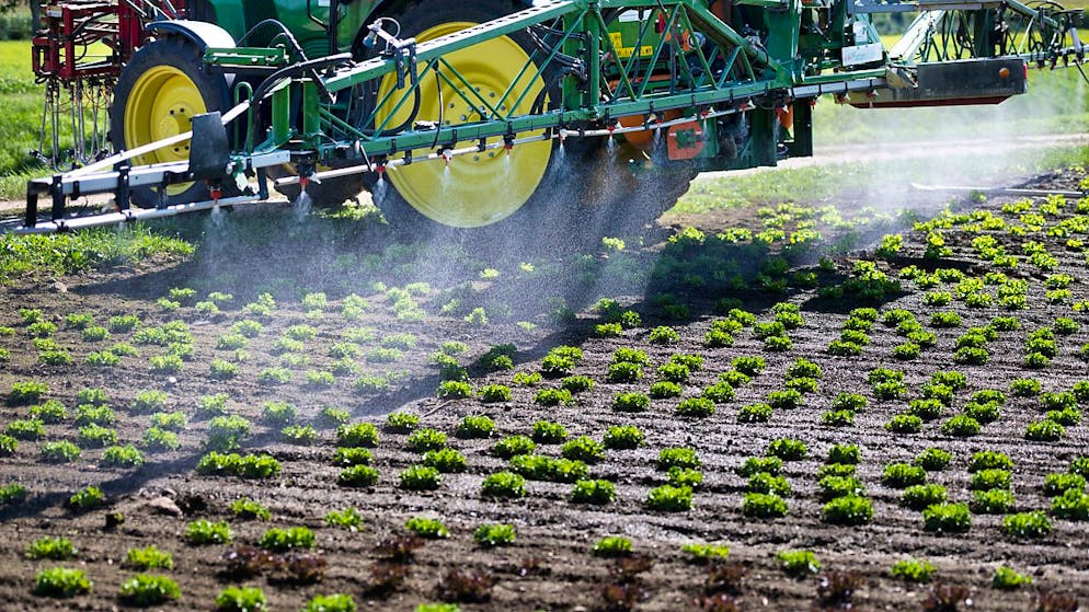 Das Bundesverwaltungsgericht untersagt dem Bund auf Gesuch des Agrochemikonzerns Syngenta, bestimmte Informationen zum Fungizid Chlorothalonil zu verbreiten.