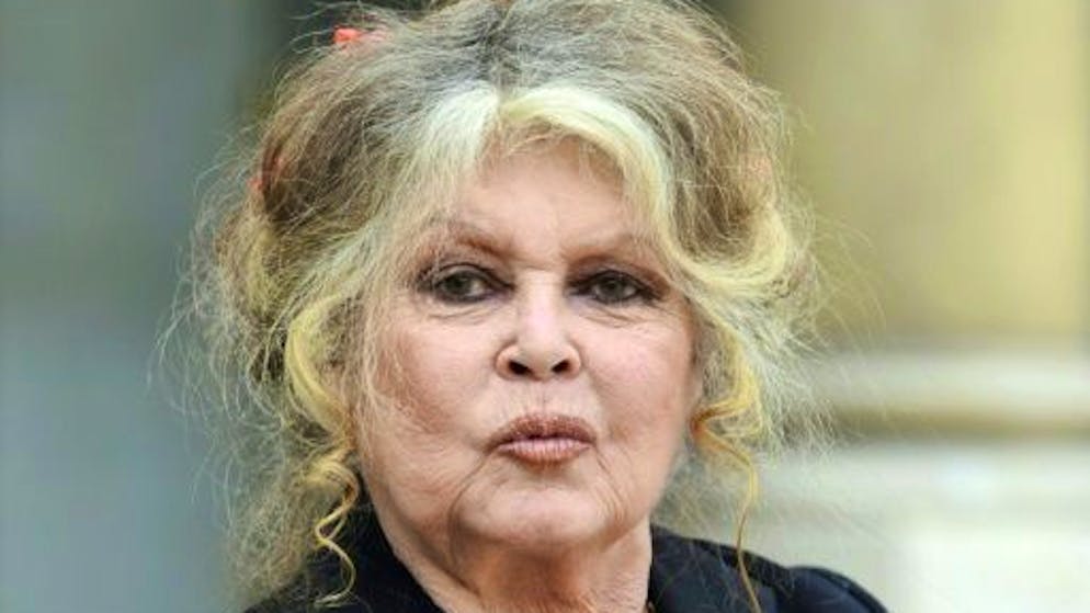 «Moi j'aime bien les mecs». Brigitte Bardot prend la défense de Nicolas Bedos et Gérard Depardieu