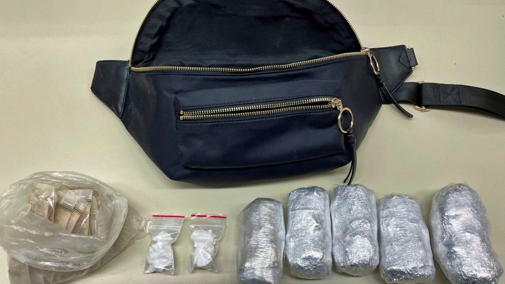 Die Luzerner Polizei stellte Betäubungsmittel und Bargeld sicher.
