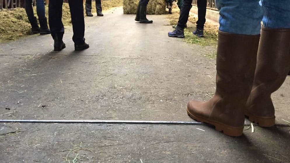 Gutes Schuhwerk gefragt: Vor der Verhandlung gegen zwei Bauern am Kreisgericht Wil fand am Dienstagmorgen ein Rundgang auf dem Hof der Beschuldigten statt.