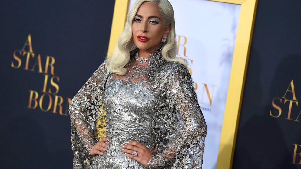 Los Angeles. Hunde von Lady Gaga gestohlen – 500'000 Dollar Belohnung