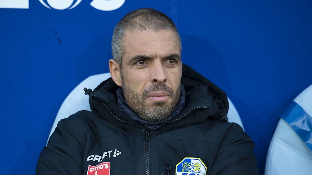 Fabio Celestini bekommt einen neuen Spieler.