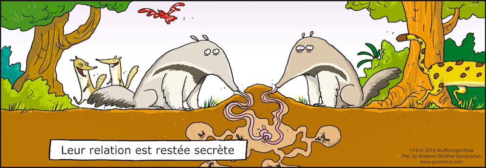 Wulff & Morgenthaler