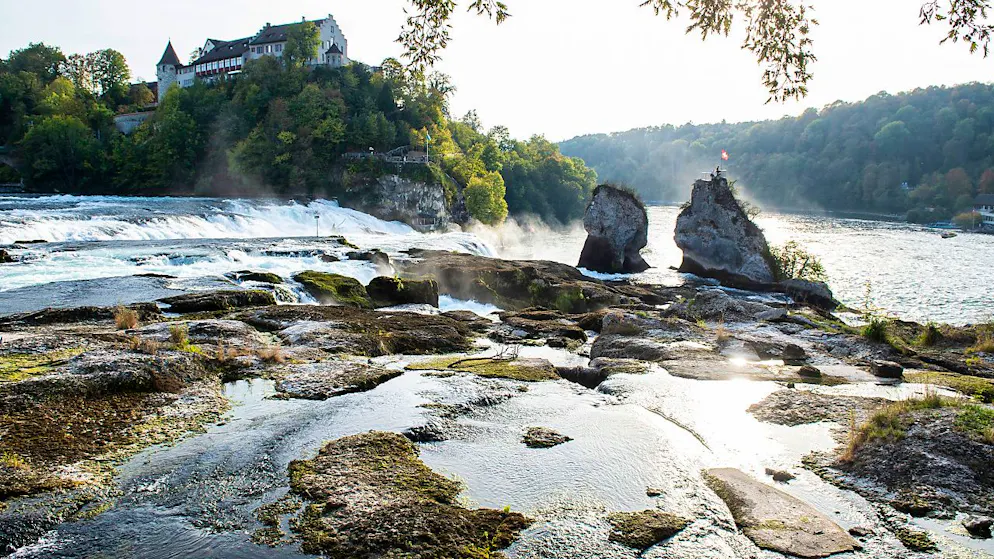 Wenig Wasser am Rheinfall wie hier 2018 dürfte künftig häufiger vorkommen. Denn die Sommer werden aufgrund des Klimawandels trockener und heisser. 