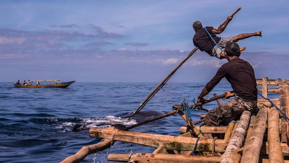 Uralte Tradition. Auf Jagd mit den letzten Walfängern der Welt