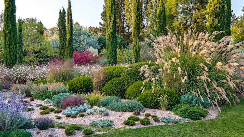 Schrebergarten. Wie ein Profi mit Trockenheit umgeht