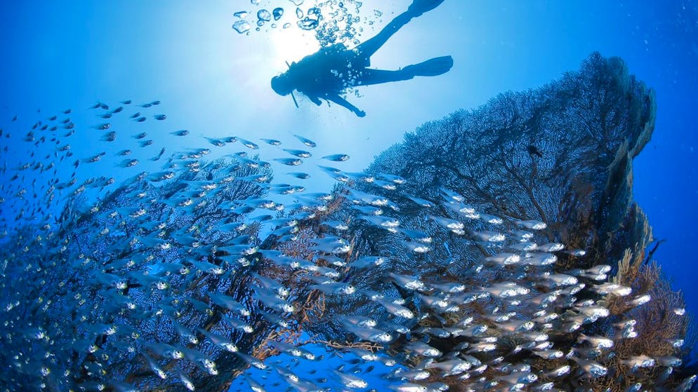 Hitze global: Die Erwärmung des Mittelmeers spüren wir bis in die Schweiz. <strong>Hitzerekord:</strong> In den Ozeanen wurde im April 2023 eine durchschnittliche Temperatur von 21,1 Grad gemessen – so warm war es noch nie seit Beginn der Aufzeichnungen.