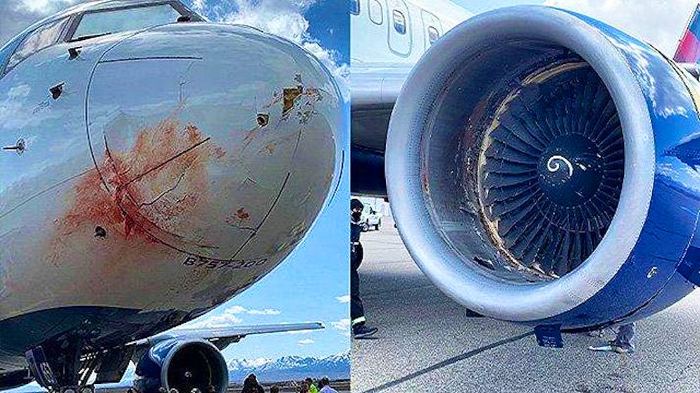 L'avion des Utah Jazz a été endommagé après avoir percuté un groupe d'oiseaux.