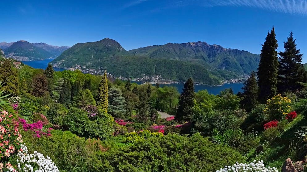 Es werden Frühlingsgefühle geweckt: Parco San Grato. Mit Blick auf Carona, Monte Brè, Lago di Lugano, Campione, Sighignola und Monte Generoso.