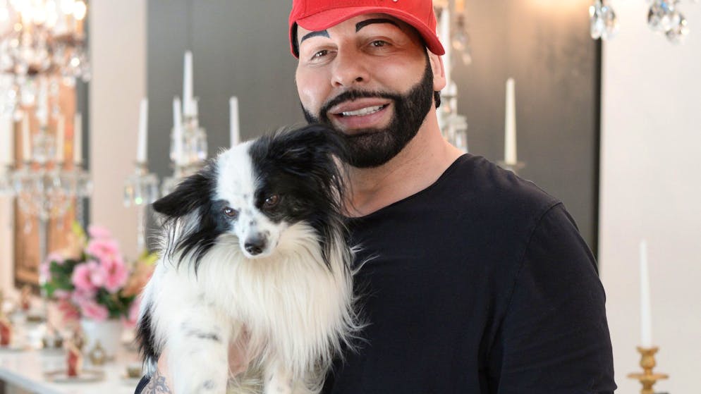 Stardesigner Harald Glööckler posiert am 18.07.2014 in Berlin mit seinem Papillon-Hund Billy King und zeigt seine verbundene Hand. Ein Schäferhund hat den Modemacher am 17.07.2014 bei einem Spaziergang mit seinem Hund Billy King im Lustgarten angefallen und in die Hand gebissen. Foto: Jens Kalaene/dpa +++(c) dpa - Bildfunk+++