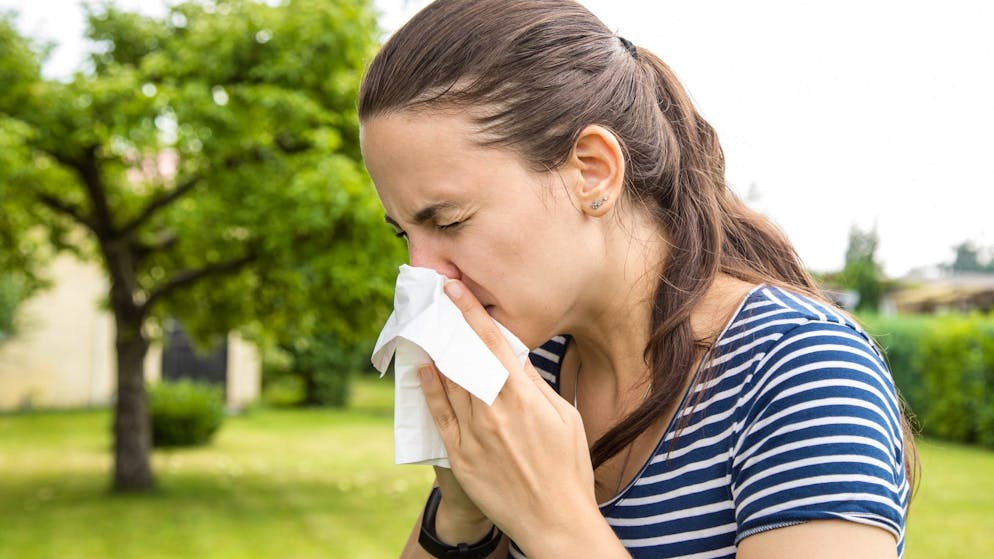 How to recognize the differences. Do you have hay fever or do you just have a cold?