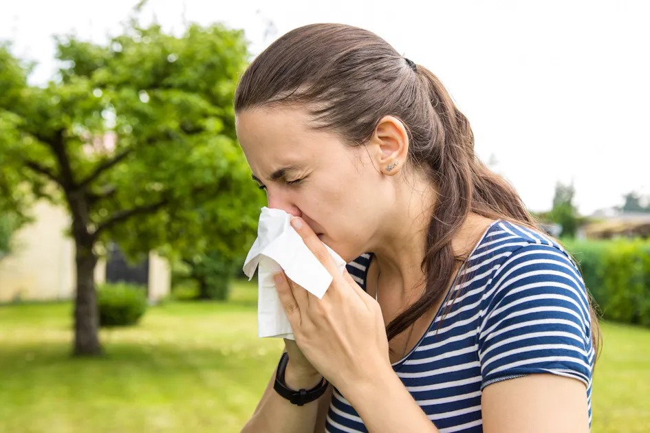 Do you have hay fever or just a cold?