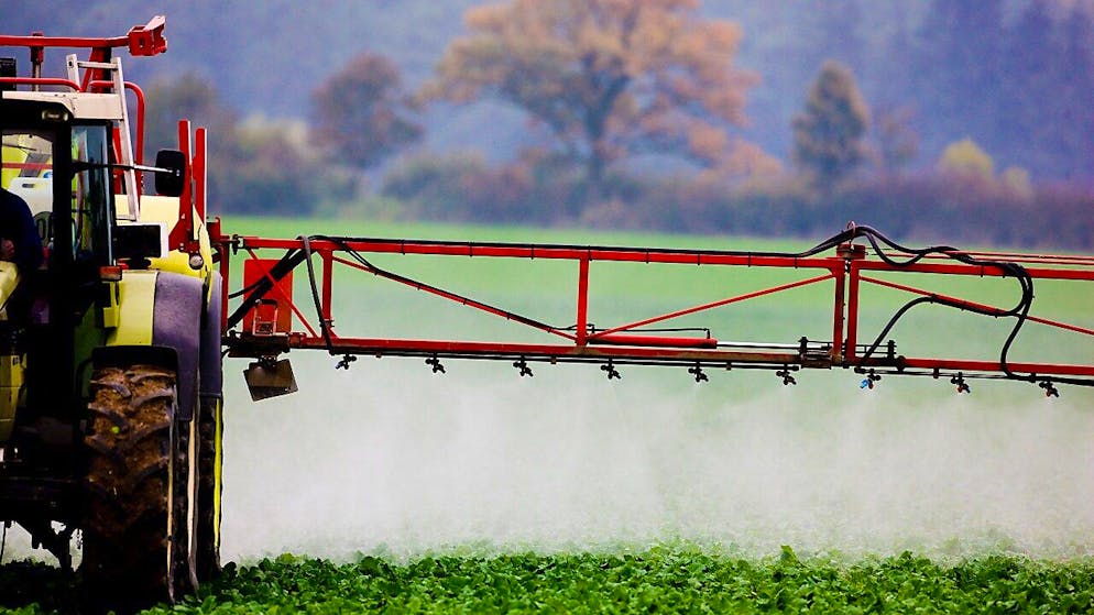 Il mondo contadino è diviso sull'iniziativa "Per una Svizzera senza pesticidi di sintesi".